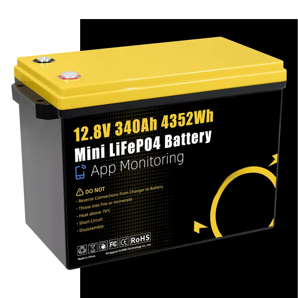 GoKWh Marine 12v Lifepo4 Batte - Rv Lithium Battery 200Ah recensione e prezzo