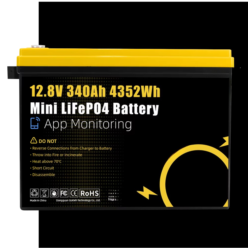 GoKWh Marine 12v Lifepo4 Batte - Rv Lithium Battery 200Ah recensione e prezzo