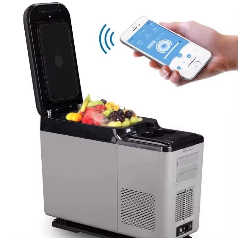 Frigorifero Portatile per Auto - 12V Fridge Freezer Rv recensione e prezzo