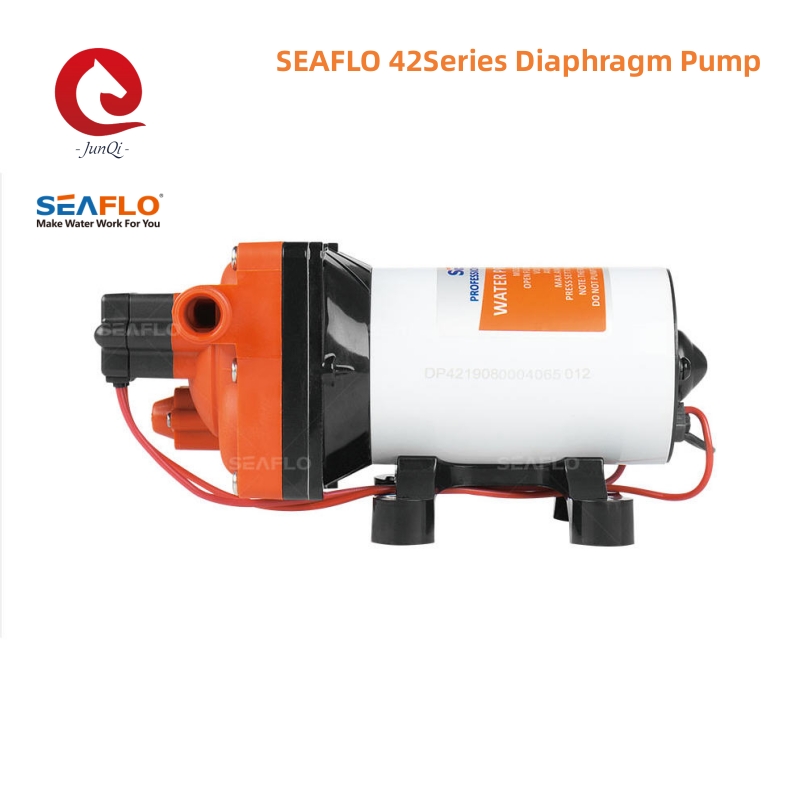 SEAFLO Serie 42 Pompa acqua a  - Rv Water Pump 12V 55Psi recensione e prezzo
