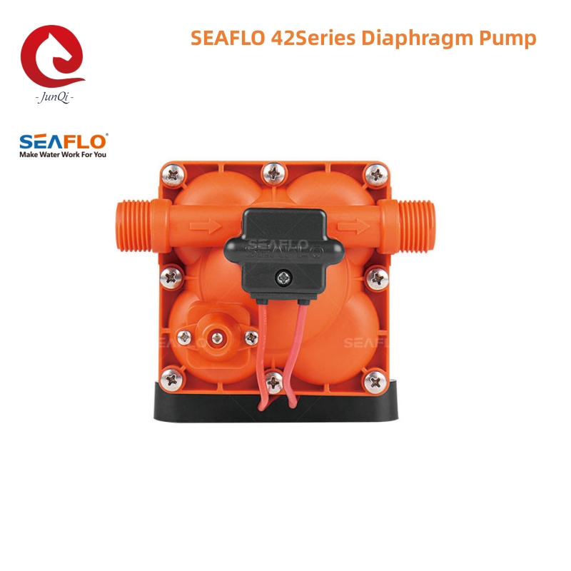 SEAFLO Serie 42 Pompa acqua a  - Rv Water Pump 12V 55Psi recensione e prezzo