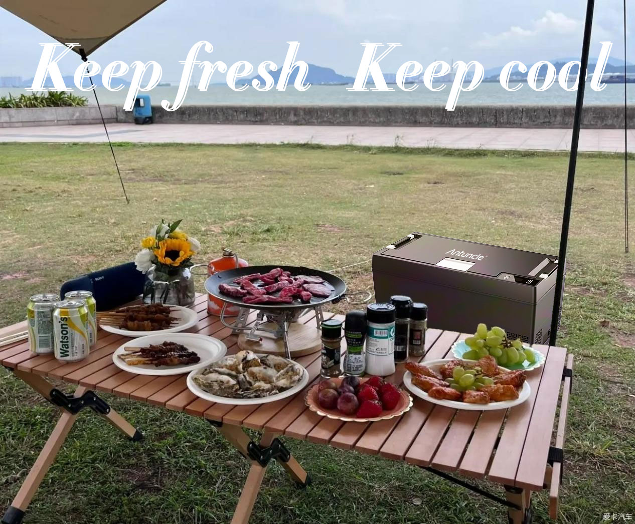 Accessori per Campeggio 4x4, M - 12V Fridge Freezer Rv recensione e prezzo