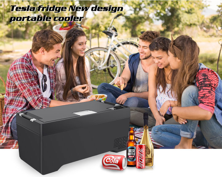Accessori per Campeggio 4x4, M - 12V Fridge Freezer Rv recensione e prezzo